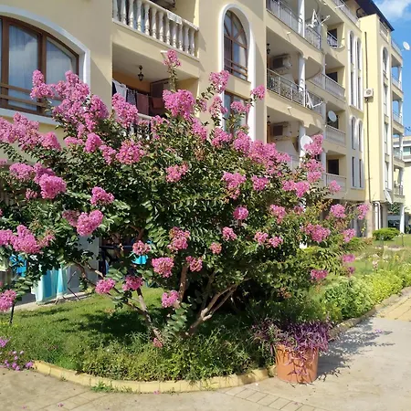 роял дриймс Appartement