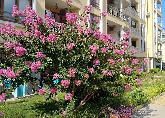 роял дриймс Appartement