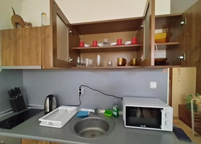 роял дриймс サニービーチ