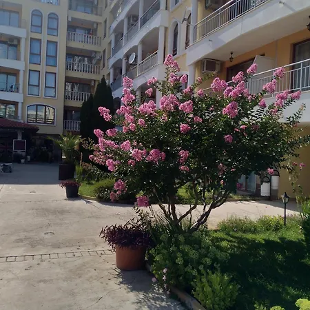 роял дриймс Slăntjev Brjag